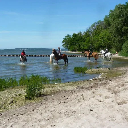 Am Markt Отель Загард