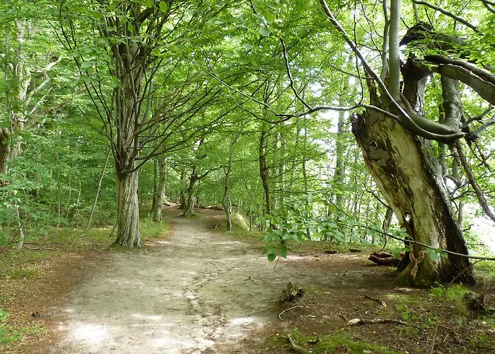 Am Markt Отель 3*