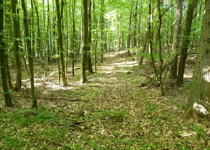 Отель Am Markt Загард