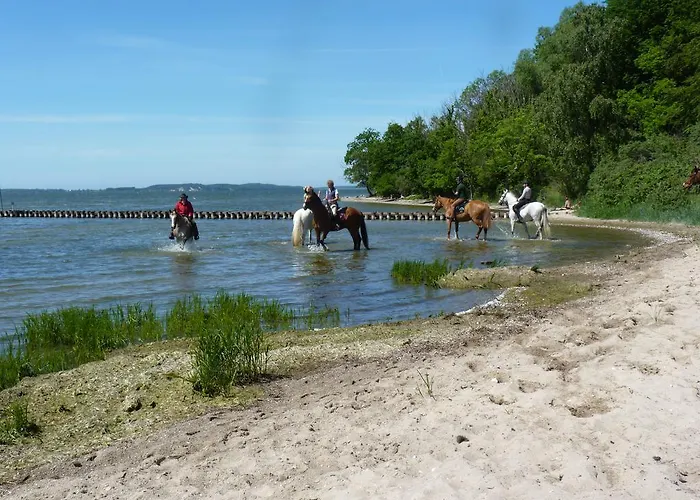 Am Markt Отель Загард